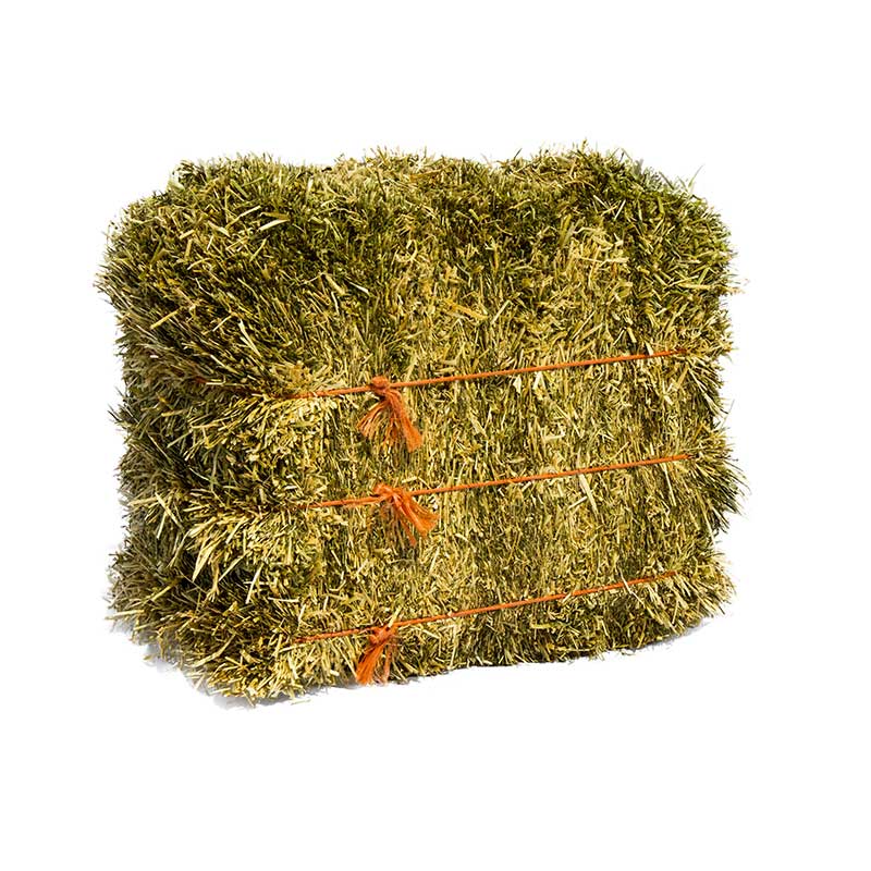 vendita Fieni depolverati novara