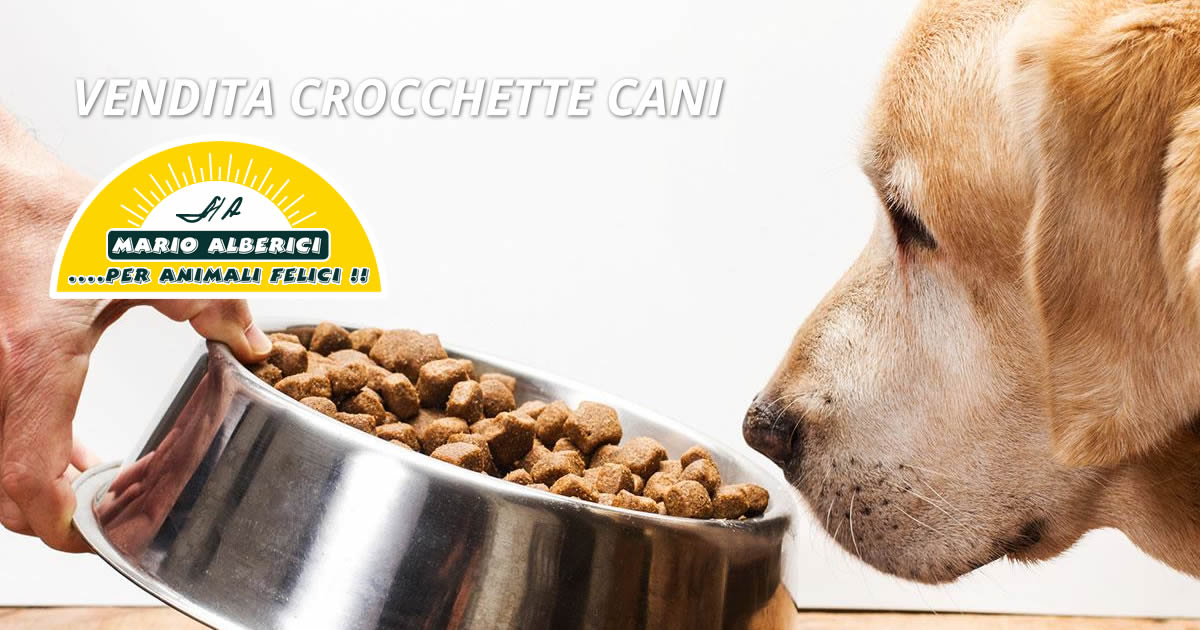 Vendita crocchette cani Varese