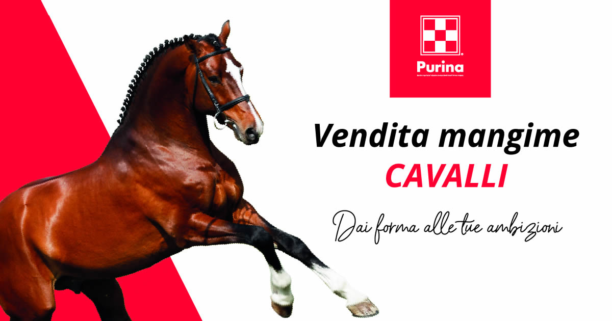 vendita mangime cavalli Purina Varese