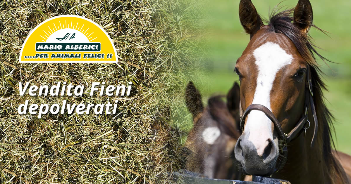 Vendita Fieni depolverati Novara